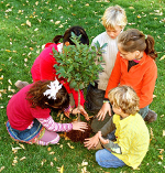                                             50 Summer Volunteer Ideas for Kids and Teens                                          