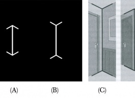 Work+T: Personal To Planetary Transformation