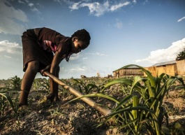 Work+T: Does Your Company Make You A Better Person?