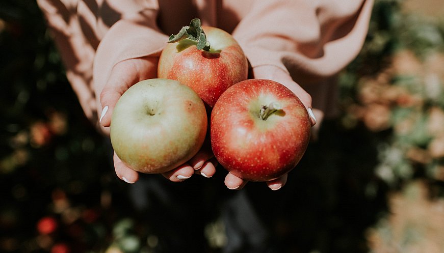 Meet the Appalachian Apple Hunter who Rescued 1,000 Lost Varieties