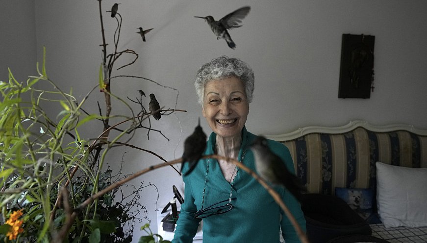 Healing Hummingbirds In Apartment-Turned-Clinic 