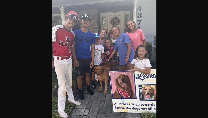 Kids Raise $400 Through Lemonade Stand To Help With Neighborhood Dog's Vet Bills