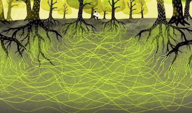 How Trees Secretly Talk to Each Other