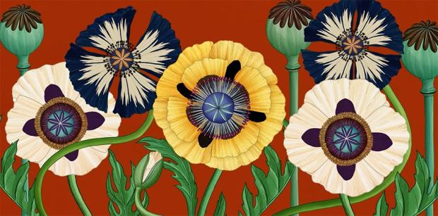 Botanical Animation: A Story of Flowers