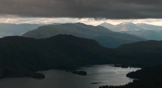 Understory: A Journey into the Tongass National Forest