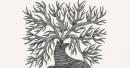 The Cosmic Miracle of Trees