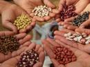 A Seed of Freedom