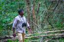 Forests Need Its People to Survive